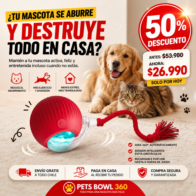 Diversión Activa para una mascota muy feliz - Pets Bowl 360