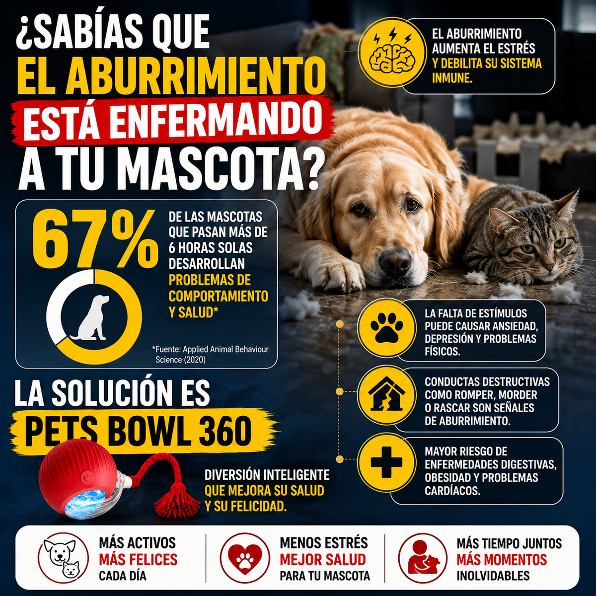 Diversión Activa para una mascota muy feliz - Pets Bowl 360