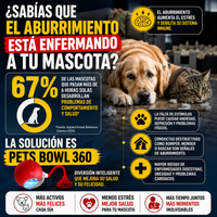 Diversión Activa para una mascota muy feliz - Pets Bowl 360