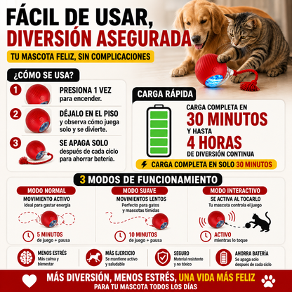 Diversión Activa para una mascota muy feliz - Pets Bowl 360