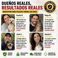 Diversión Activa para una mascota muy feliz - Pets Bowl 360