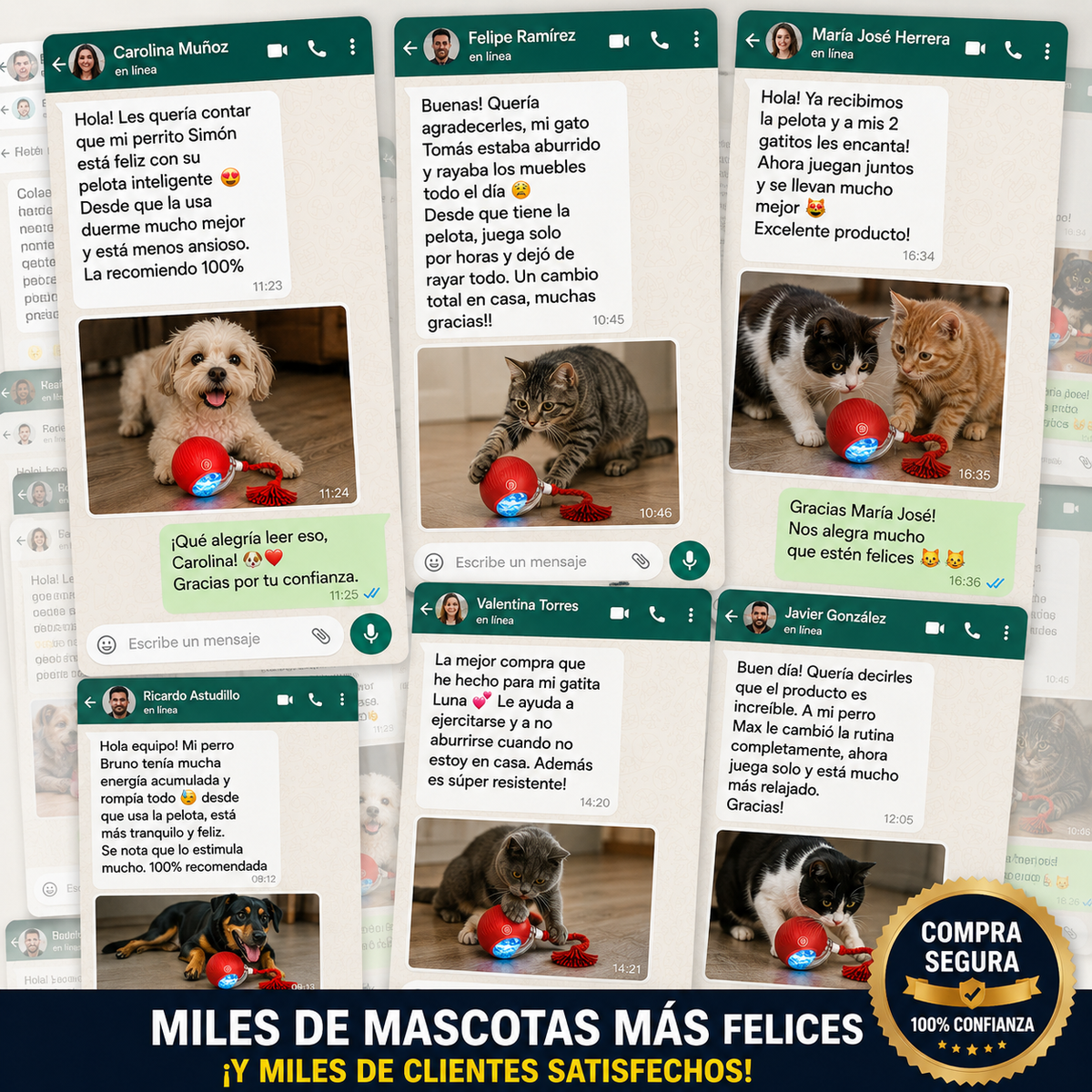 Diversión Activa para una mascota muy feliz - Pets Bowl 360