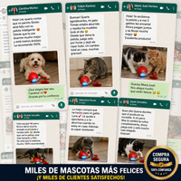 Diversión Activa para una mascota muy feliz - Pets Bowl 360